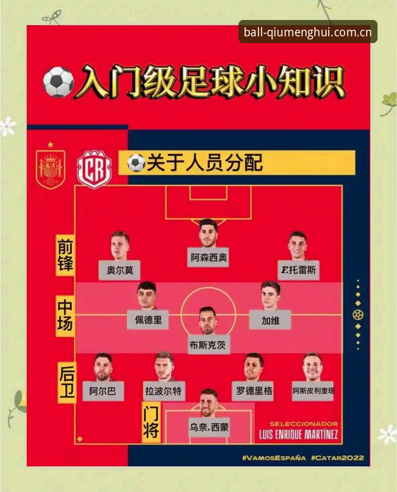 世界杯观赛受阻？球盟会用户必备的签证困境应对实用指南